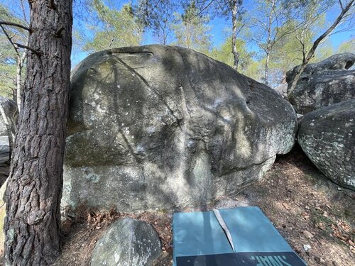 Image of jaune PD+ : 9 (3+)